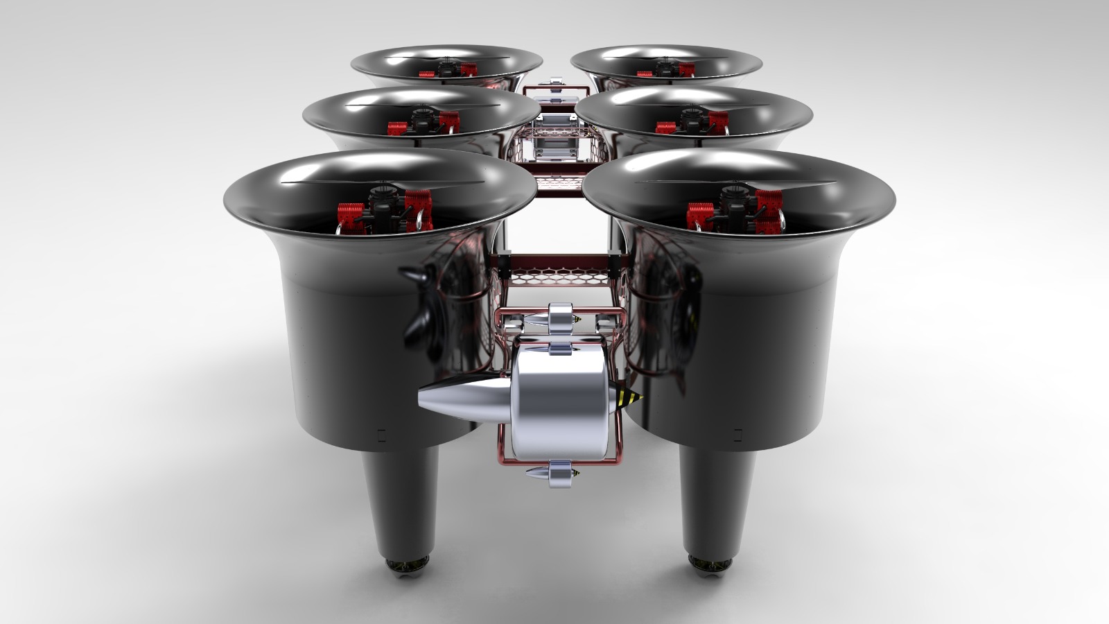 WILD HOPPER v1 — 02